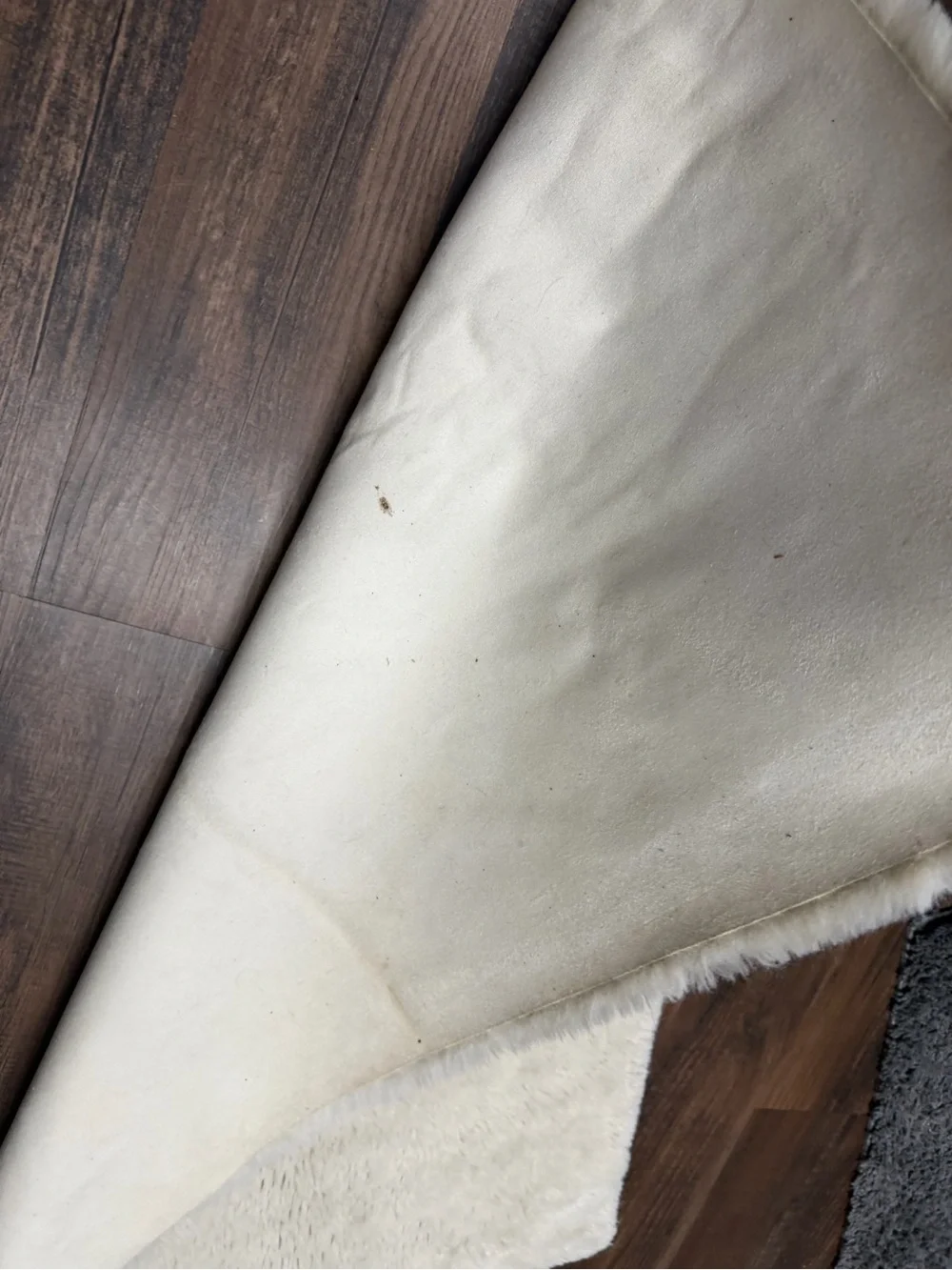 Koolaburra tan Plush Faux Shearling Accent Rug